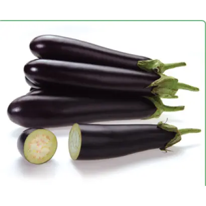 Самурай F1 / Samurai F1