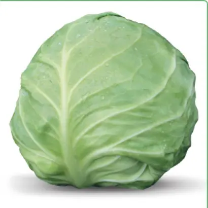 Акира F1 / Akira F1