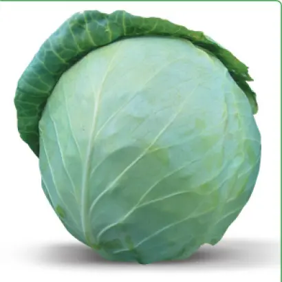 Хонка F1 / Honka F1