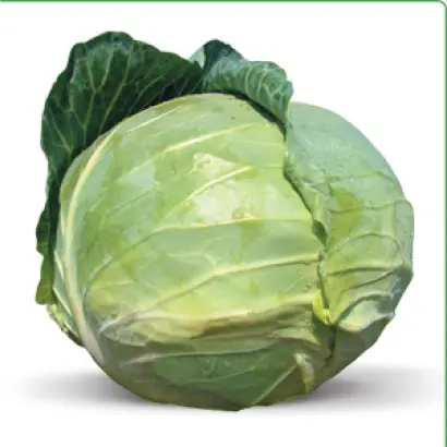 Наоми F1 / Naomi F1