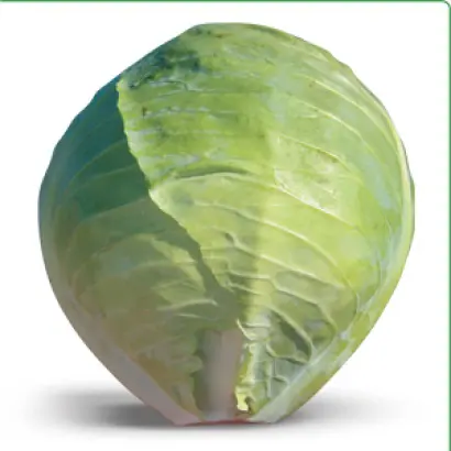 Хитоми F1 / Hitomi F1