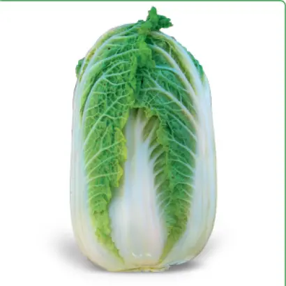 Зена F1 / Zena F1