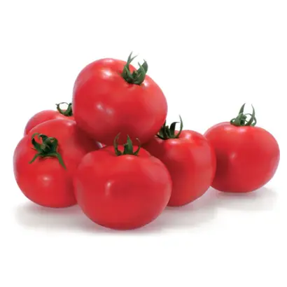 Тисато F1 / Tisato F1