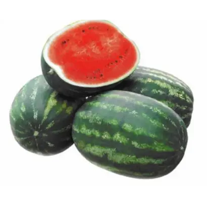 КРИМСОН РУБИ F1