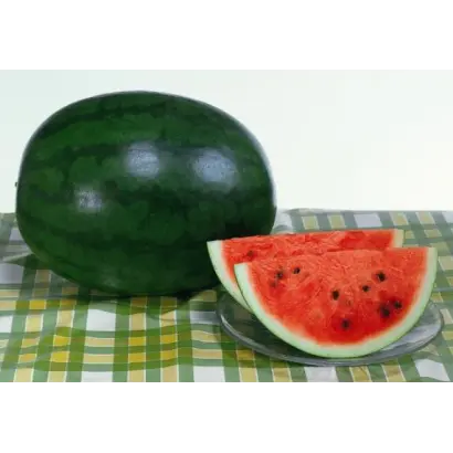 ШУГА ДЕЛИКАТА F1