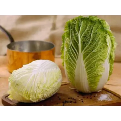 РИЧИ F1 / RICHI F1