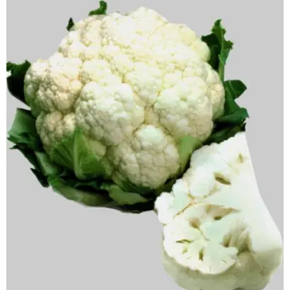 ИНКЛАЙН F1 / INCLINE F1