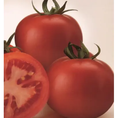 СУПЕР СЕТ F1