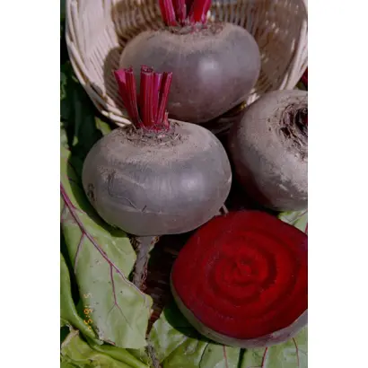 Несравненная А 463