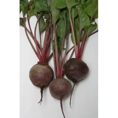 Одноростковая