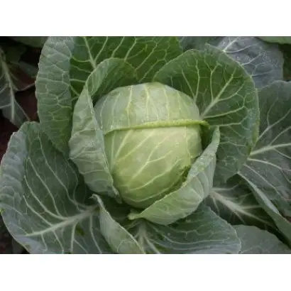 Июньская 3200