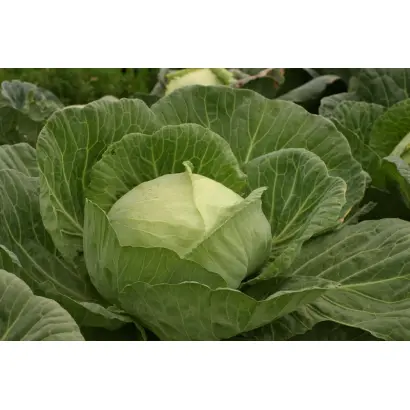 Юбилейная 2170