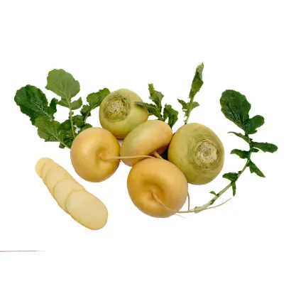 Петровская 1