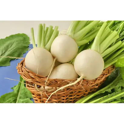 Снегурочка