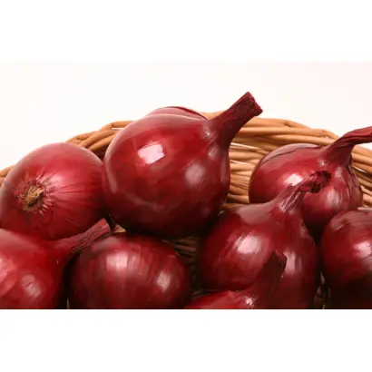 Черный принц