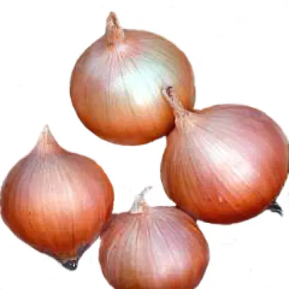 Хай Кипер F1 / Hi-Keeper F1