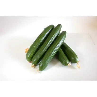 Грибовчанка F1