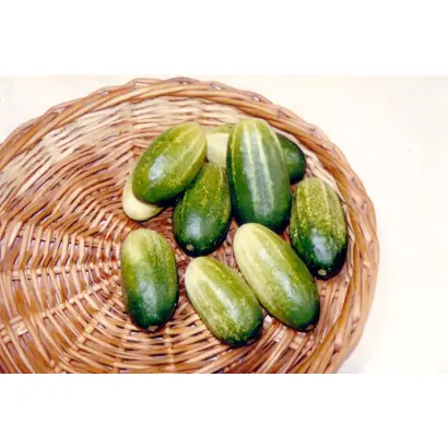 Муромский 36