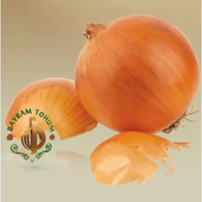 БАЙРАМ / BAYRAM