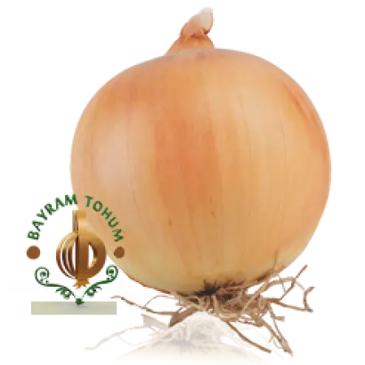 ГОРДИОН / GORDION