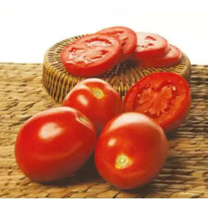 Зейна F1 / Zeina F1