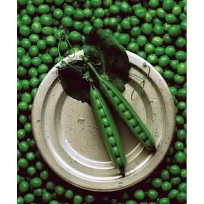 ТРИСТАР / Tristar