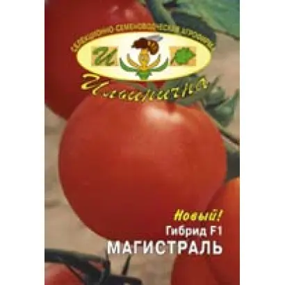 МАГИСТРАЛЬ F1