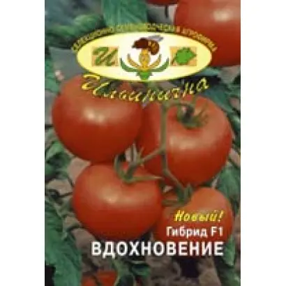 ВДОХНОВЕНИЕ F1