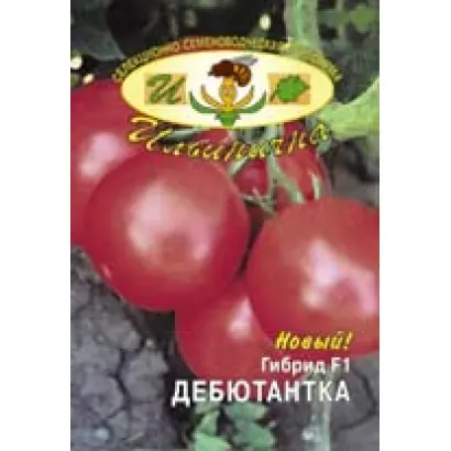 ДЕБЮТАНТКА F1