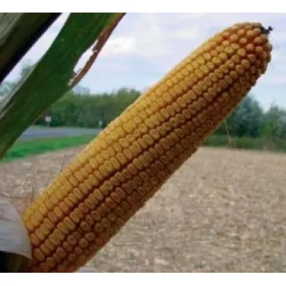 ПР39Б22 / PR39В22