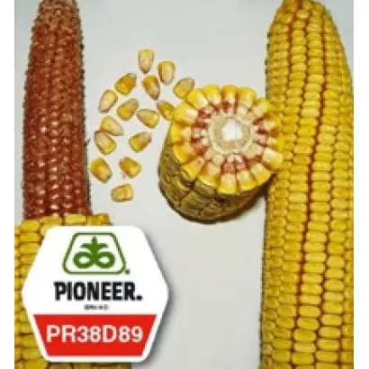 ПР38Д89 Анаста / PR38D89 Anasta