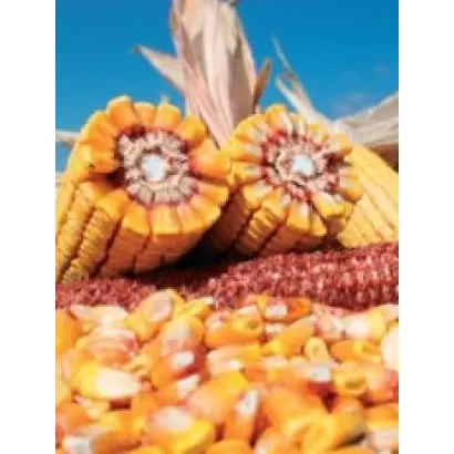 ПР38Г67 / PR38H67