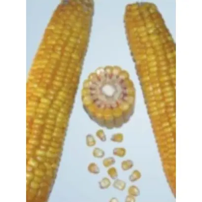 ПР39К13 / PR39K13