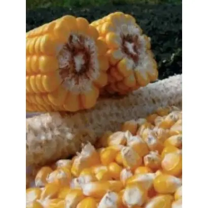 ПР39А50 / PR39A50