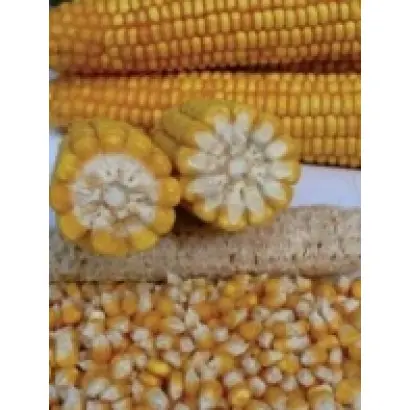 ПР39А61 / PR39A61