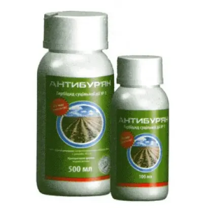 Антибурян