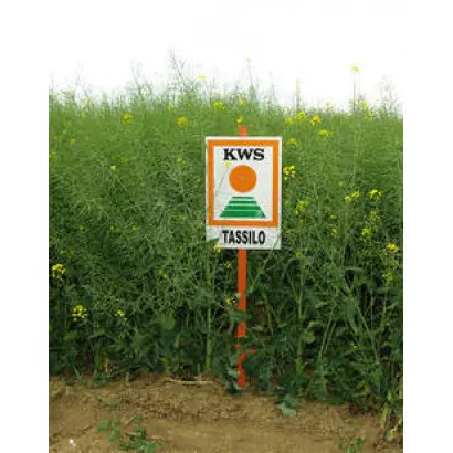 ТАССИЛО F1 / TASSILO F1