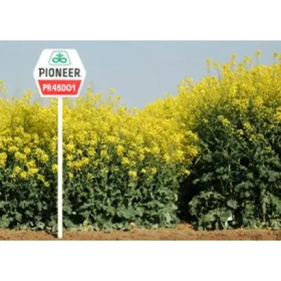 ПР45Д01 / PR45D01