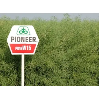 ПР46В15 / PR46W15