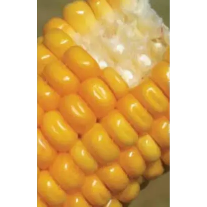 ЛГ 3232 / LG 32.32