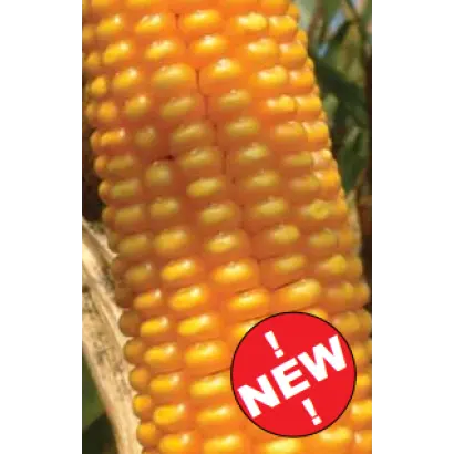 ЛГ 3258 / LG 32.58