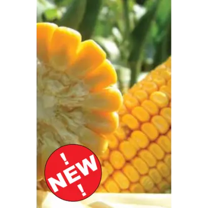 ЛГ 3475 / LG 34.75