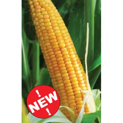 ЛГ 3285 / LG 32.85