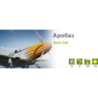 Аробаз / Arobase