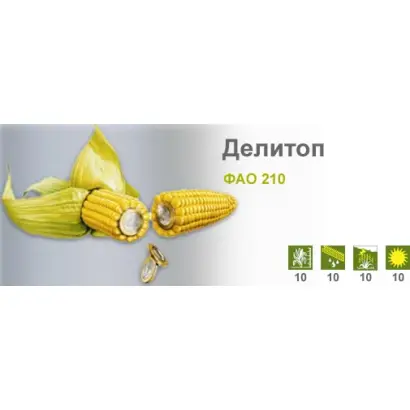 Делитоп / Delitop