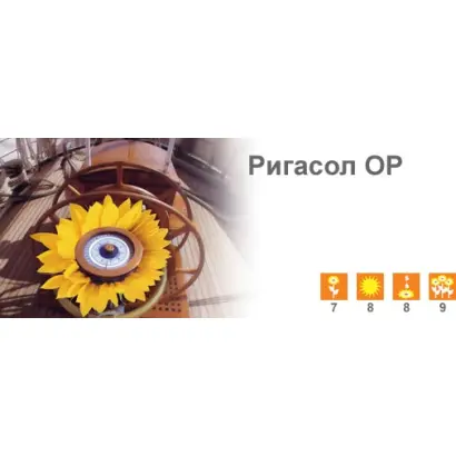 Ригасол ОР