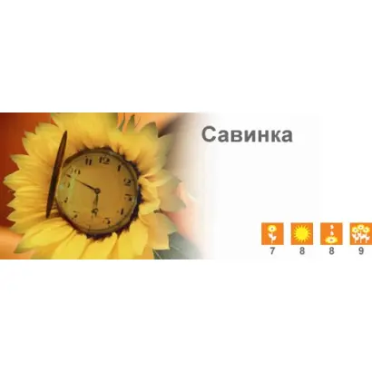 Савинка