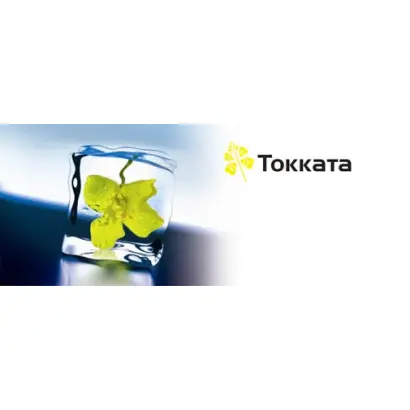 Токката / Toccata