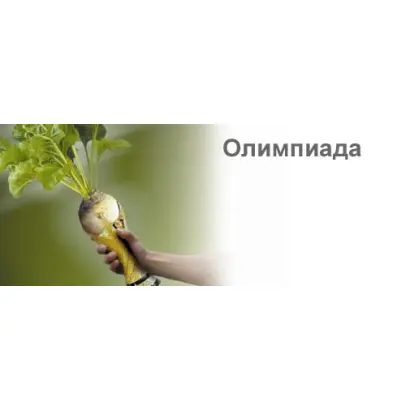 Олимпиада