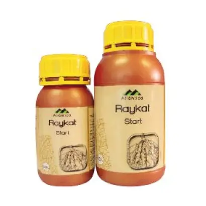 РАЙКАТ СТАРТ